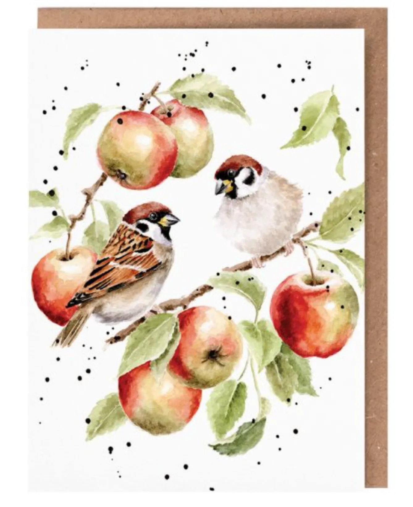 Wrendale Designs 'The Apple Tree' Sparrow Greetings Card- Greeting Cards