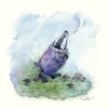 Moongazer Cards The Moon Greeting Card- Greeting Cards