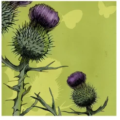 Emma Ball Thistle Greetings Card- Greeting Cards