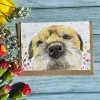 Jen Winnett Tilly the Border Terrier Eco-card- Greeting Cards
