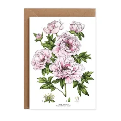 Catherine Lewis Tree Peony - card- Greeting Cards