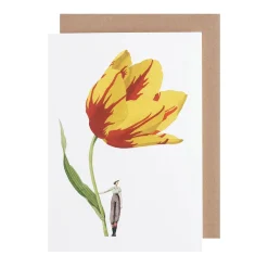 Laura Stoddart Tulip Blank Greetings Card- Greeting Cards