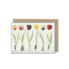 Laura Stoddart Tulip Parade Greetings Card- Greeting Cards
