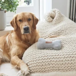 Sweet William Tweed Dog Bone Shaped Dog Toy - Grey- Pets