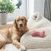Sweet William Tweed Dog Bone Shaped Dog Toy - Orange- Pets