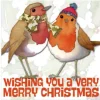 Emma Ball Two Robins Pack of 6 Christmas Cards- Christmas Cards|Christmas