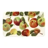 Emma Bridgewater Vegetable Garden Apples Medium Oblong Plate- Plates