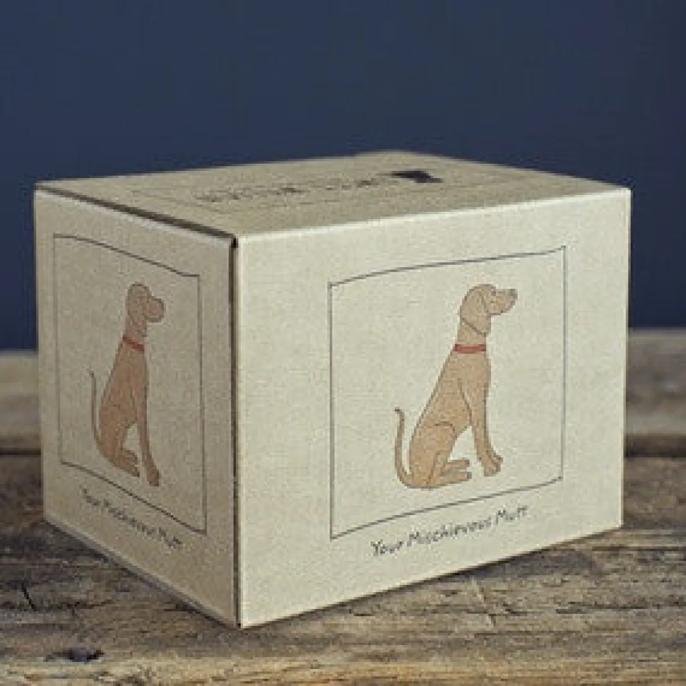 Sweet William Vizsla Mug Boxed- Pets|Pets