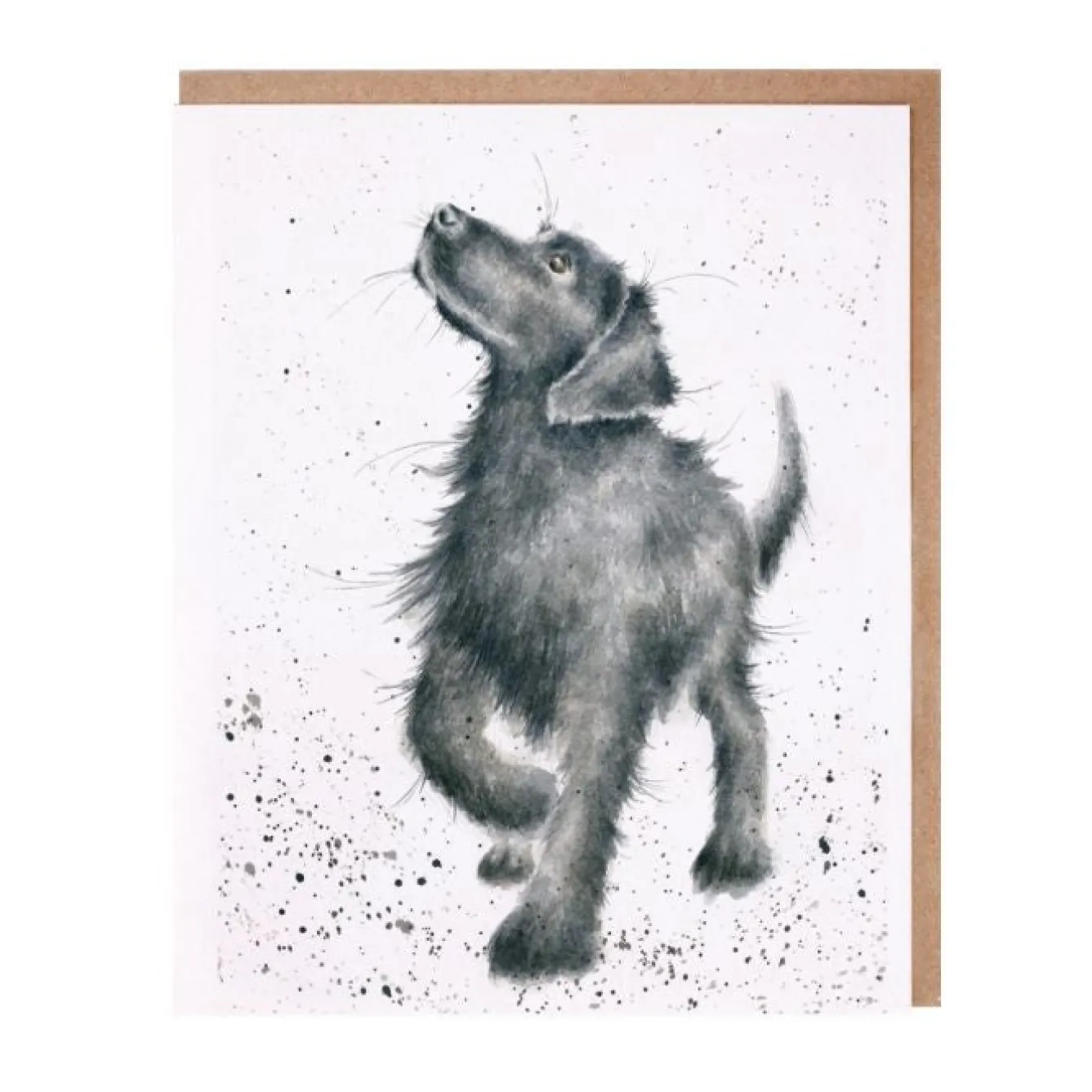 Wrendale Designs 'Walkies' Blank Greetings Card- Greeting Cards