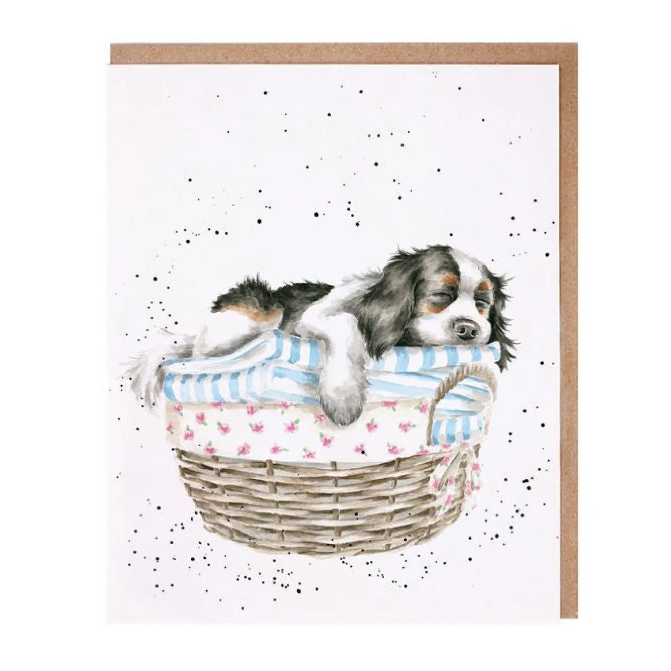 Wrendale Designs Wash, Dry, Fold, Repeat Greetings Card- Greeting Cards