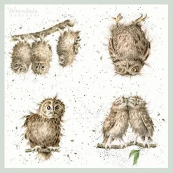 Wrendale Designs 'What a Hoot' Owl Paper Napkins- Tea