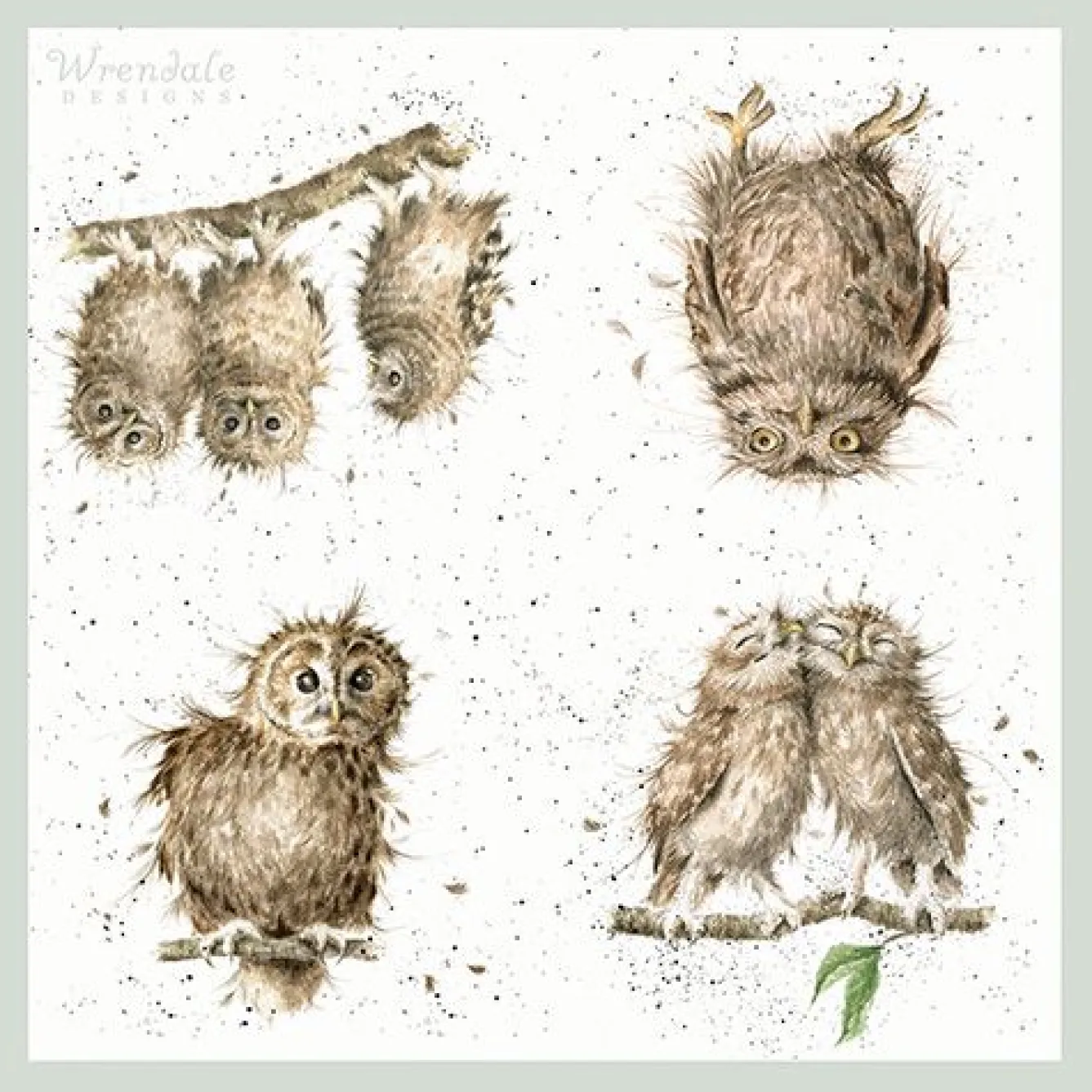 Wrendale Designs 'What a Hoot' Owl Paper Napkins- Tea