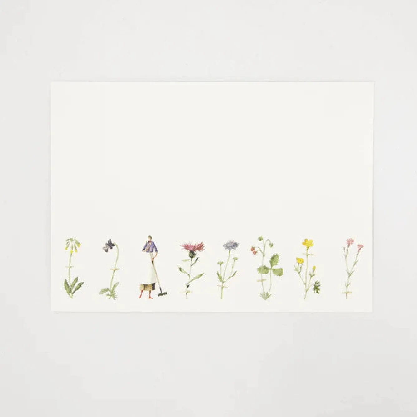 Laura Stoddart Wildflowers Flat Notes Set- Stationery