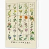 Roomytown Wildflowers Greetings Card- Greeting Cards