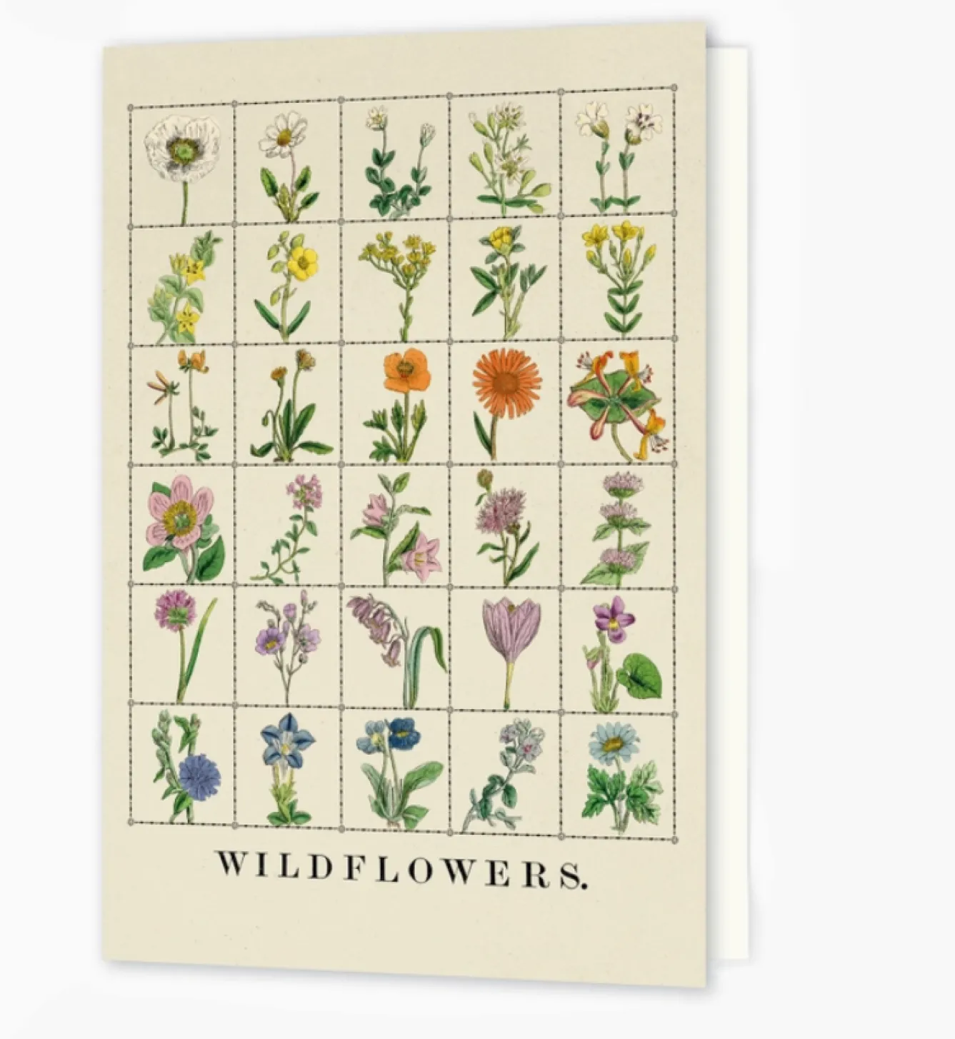 Roomytown Wildflowers Greetings Card- Greeting Cards