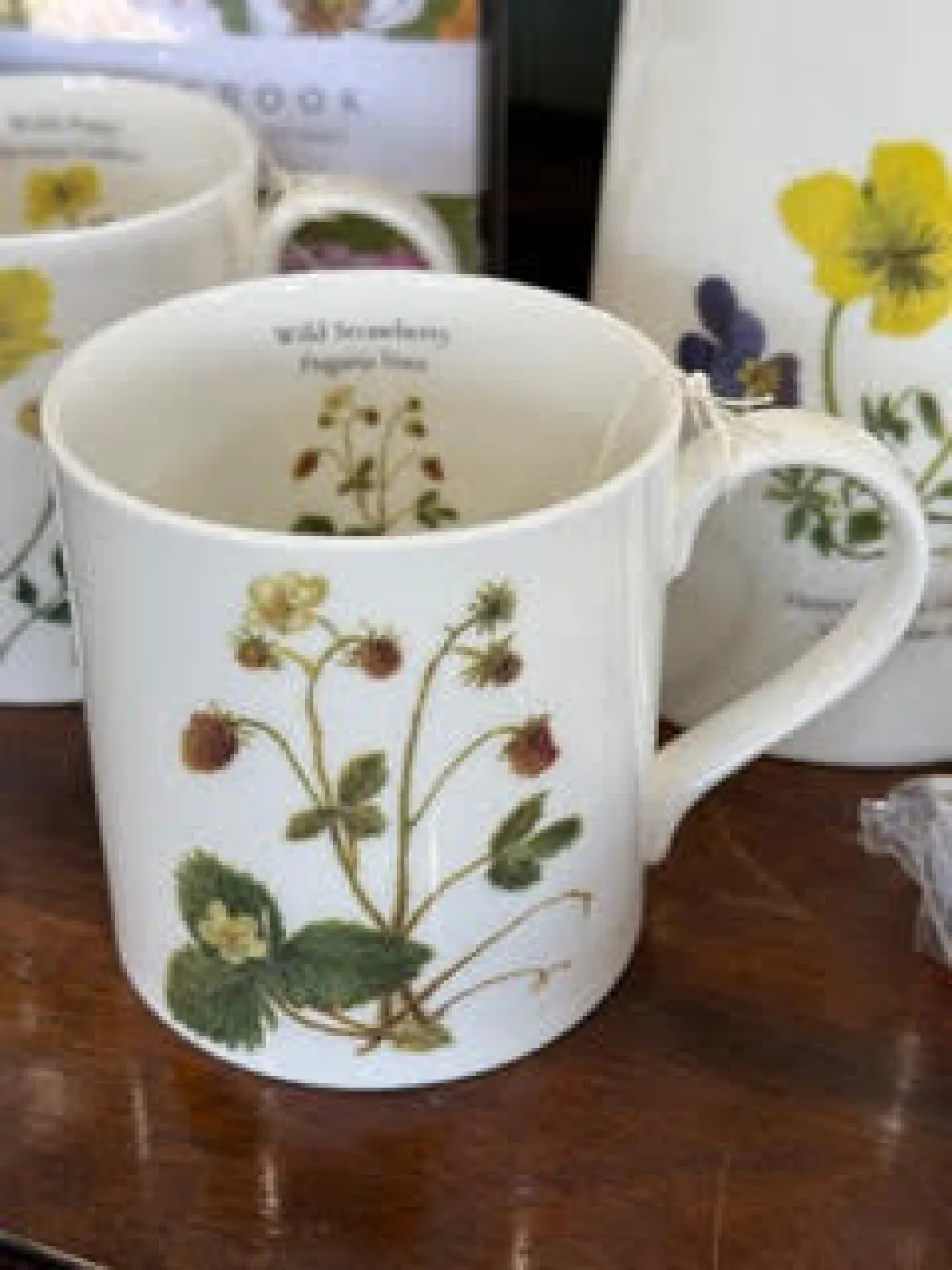 Sophia Davenport Wild Strawberry Mug- Flowers & Garden
