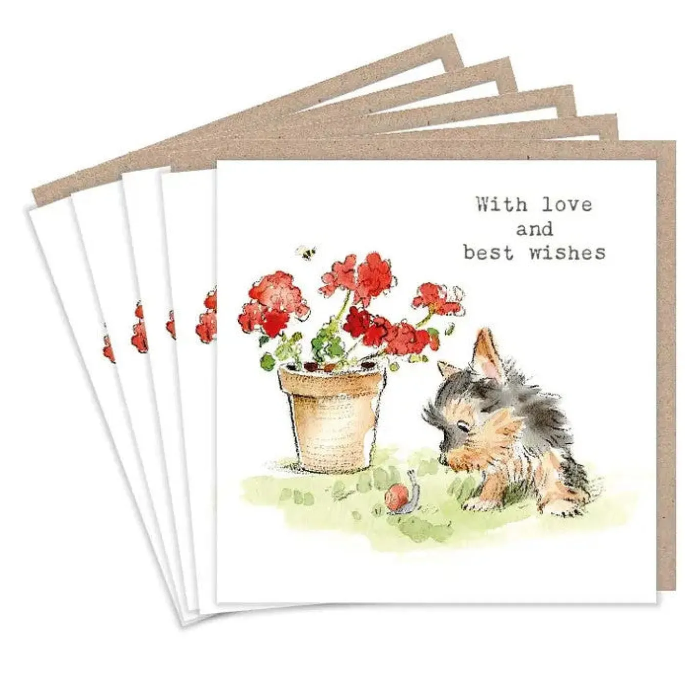 Paper Shed Design Yorkie and Snail "With love and best wishes" Set of 5 Notecards- Greeting Cards